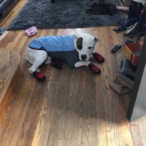 Meet your Posher, Erin